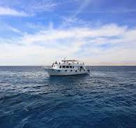  Diving & Snorkeling Cruise Tour with Lunch & Drinks - 5