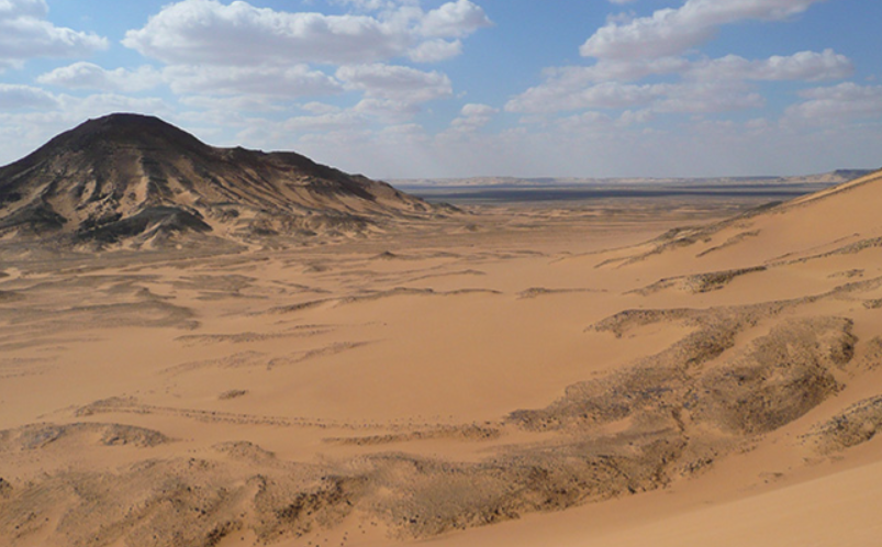 Camel Ride Experience in the Desert - 2
