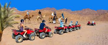  ATV Quad, Camel Ride, and Bedouin Village Trip - 4