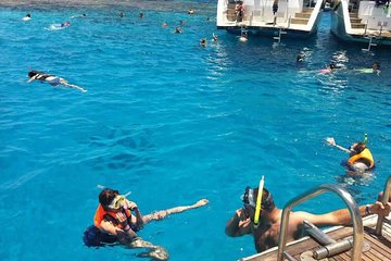  Diving & Snorkeling Cruise Tour with Lunch & Drinks - 3