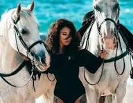  Beach Horseback Riding