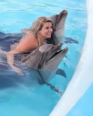  Swim with Dolphins - 5
