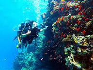  Diving in White Island - 4