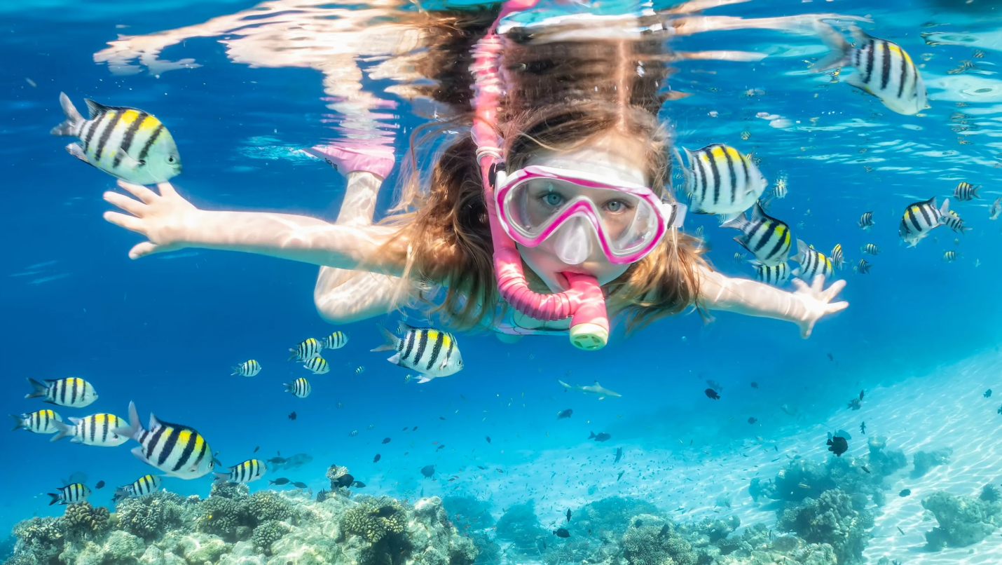 White Island & Ras Mohammed Cruise Adventure from Sharm El Sheikh - 3