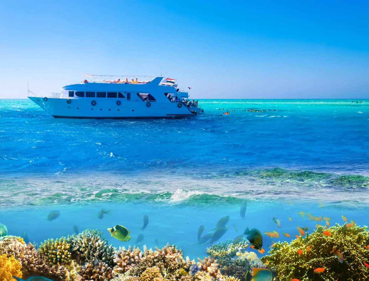 Tiran Island Snorkeling & Diving Cruise - 2