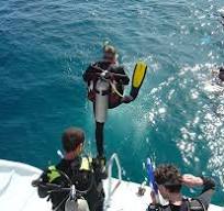  Diving & Snorkeling Cruise Tour with Lunch & Drinks - 2