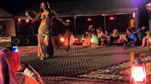 Star Gazing & VIP Safari - 4