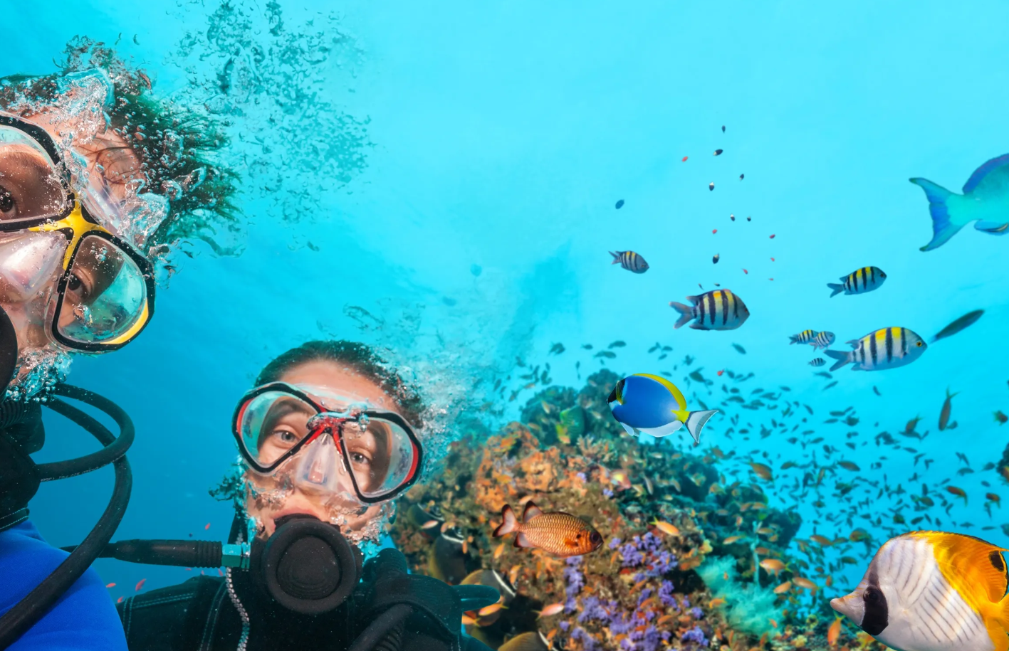 Ras Mohammed Diving & Snorkeling Luxury Yacht Tour from Sharm El Sheikh  - 5
