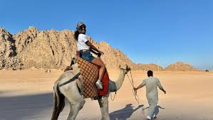  Quad Bike Sunrise Safari - 3