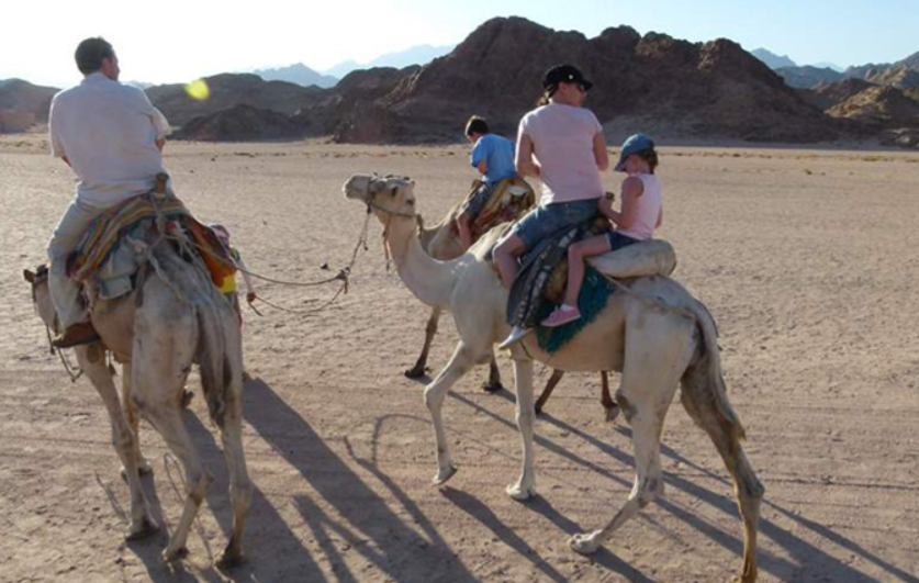 Camel Ride Experience in the Desert - 5