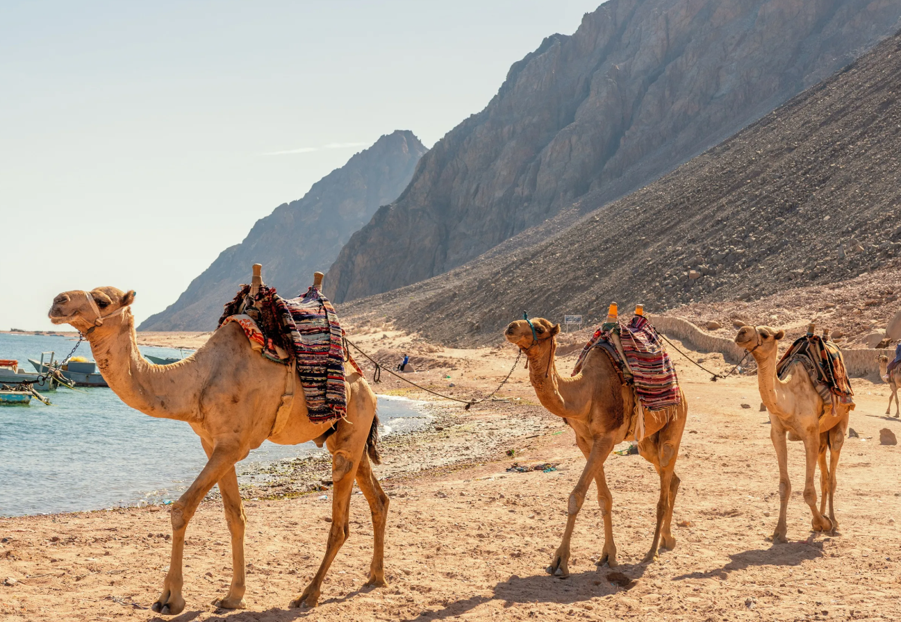 Colored Canyon, Blue Hole & Dahab Adventure from Sharm El Sheikh - 3
