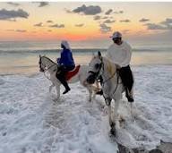  Beach Horseback Riding - 2