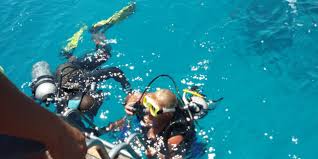  Diving in White Island - 2
