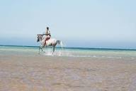  Beach Horseback Riding - 3