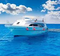  Diving & Snorkeling Cruise Tour with Lunch & Drinks - 4