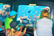 Seascope Submarine - 2